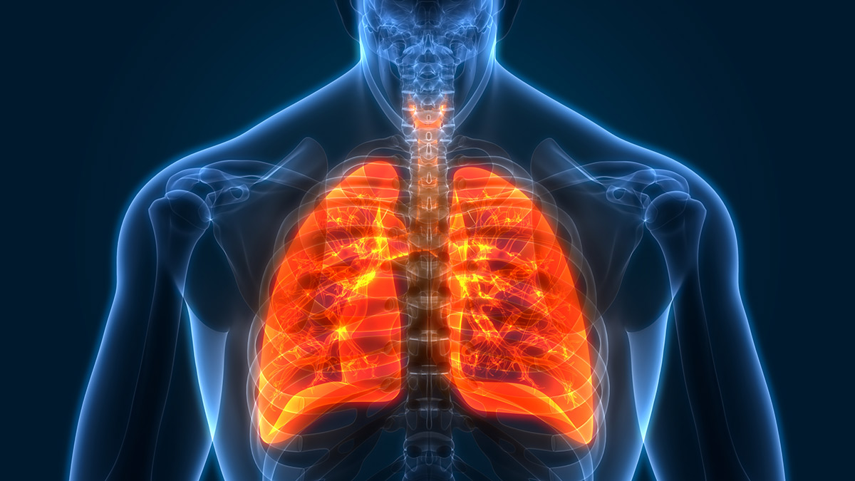 Carbon Monoxide Rebreathing Is Used In Endurance Sports To Measure Hemoglobin Mass