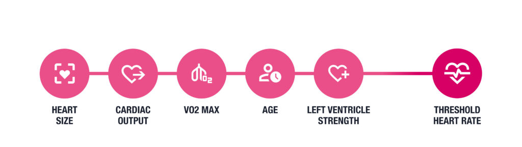 Factors such as heart size, cardiac output, vo2 max, age, and left ventrictal strength affect your threshold heart rate