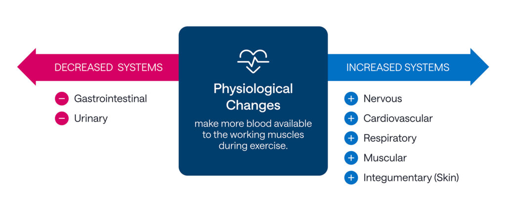 Figure 1 graphic highlighting the physiological changes from exercise