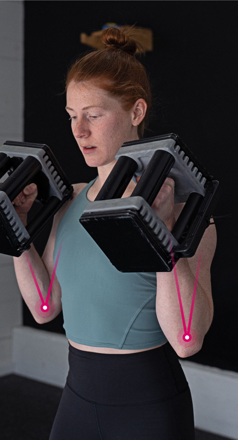 Isolation Movement Strength Guide Female Athlete Performing Isolation Movement I.e. Hammer Curl