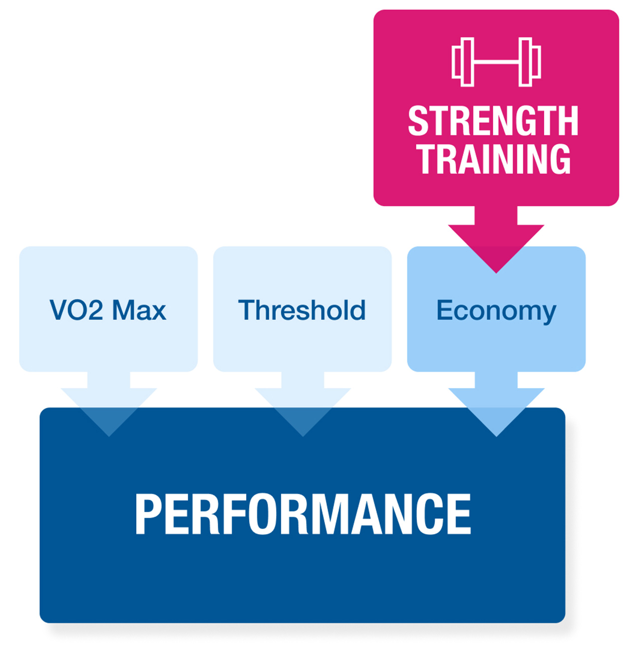Strength And Economy Equals Performance Strength And Economy Equals Performance For Strength Training