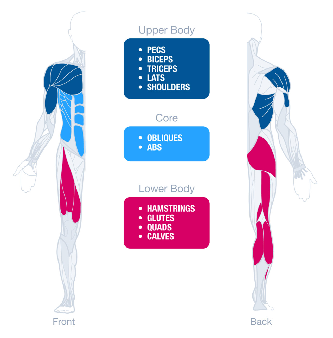 Strengthguide.ch.trinew Strength Guide Training Example