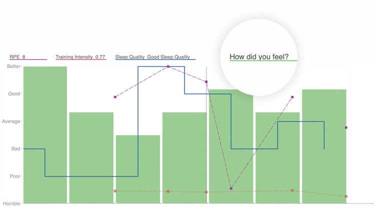 Wko5 Deeper Insights @2x 750 Wko5 Deeper Insights @2x 750